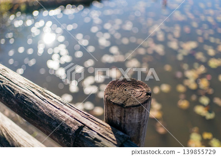 pond, lagoon, bridge 139855729
