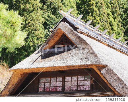 Yamanashi Prefecture: Thatched roof and cherry blossoms in full bloom reflected in the window, April. Yamanashi Prefecture: Thatched roof and cherry blossoms in full bloom reflected in the window, April. 139855928