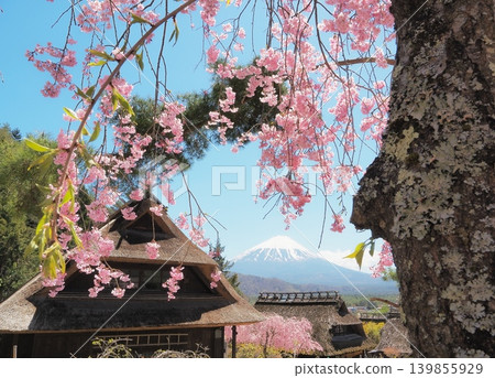 山梨縣：櫻花、老房子和富士山，四月 139855929