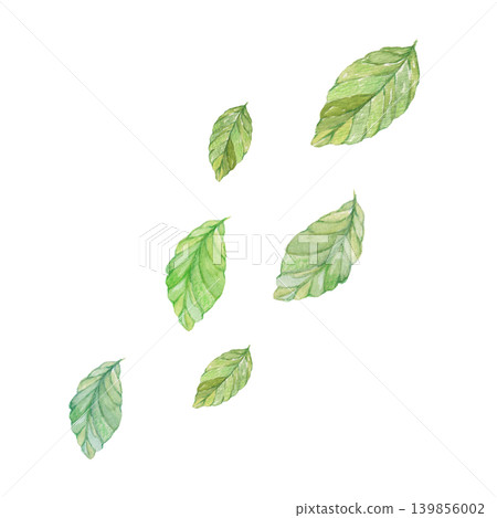 Watercolor-painted leaf material Watercolor-painted leaf material 139856002
