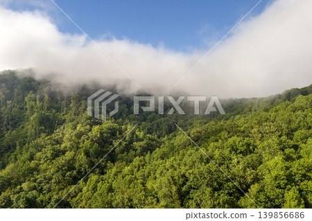 Nature landscape of Tennessee Appalachian mountains. Mountain forest with green canopies in summer rain season. Nature landscape of Tennessee Appalachian mountains. Mountain forest with green canopies in summer rain season. 139856686