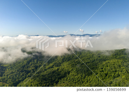 Smoky mountains summer woods. Appalachian mountains in North Carolina with fresh green forest trees in summertime rainy season. Beauty of USA nature. Smoky mountains summer woods. Appalachian mountains in North Carolina with fresh green forest trees in summertime rainy season. Beauty of USA nature. 139856699