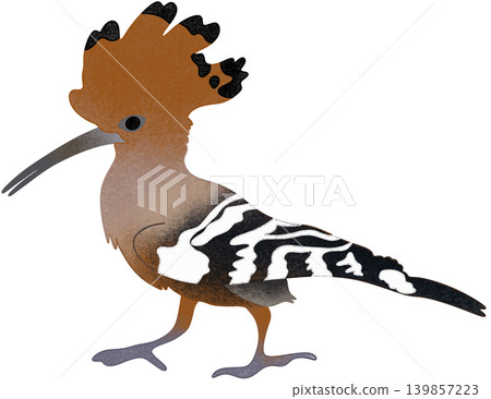 woodpecker bird illustration woodpecker bird illustration 139857223