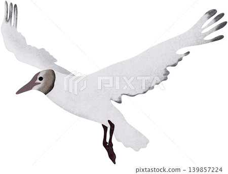 white crane bird 139857224