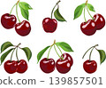 ripe sweet cherries collection with stems and foliage 139857501