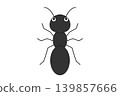 Illustration of a black ant 139857666