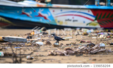 Crow scavenging food among plastic waste on a polluted beach near a fishing boat. Environmental pollution and ocean trash concept Crow scavenging food among plastic waste on a polluted beach near a fishing boat. Environmental pollution and ocean trash concept 139858204
