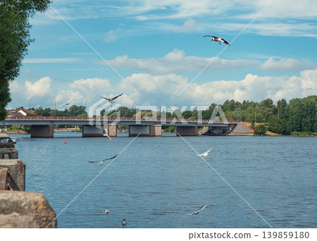 Gulls soar and float on a wide river, with a long concrete bridge spanning across the water Gulls soar and float on a wide river, with a long concrete bridge spanning across the water 139859180