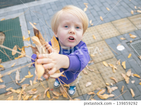 A young blonde child in a purple shirt holds a bunch of crisp autumn leaves on a paved sidewalk. The child looks up with an open mouth, surrounded by more scattered fall foliage A young blonde child in a purple shirt holds a bunch of crisp autumn leaves on a paved sidewalk. The child looks up with an open mouth, surrounded by more scattered fall foliage 139859292