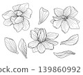 Vector graphics set of flowers and magnolia leaves hand drawn. 139860992