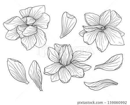 Vector graphics set of flowers and magnolia leaves hand drawn. Vector graphics set of flowers and magnolia leaves hand drawn. 139860992
