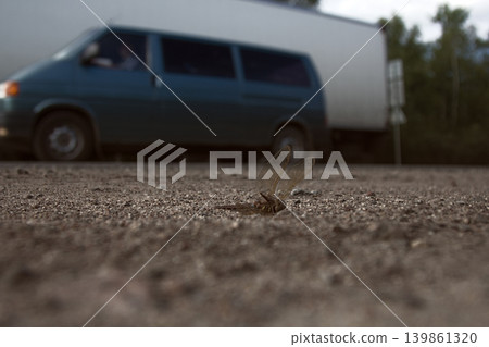 Dragonfly roadkill machine. Dragonfly roadkill machine. 139861320