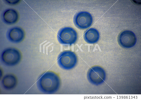 Harmonic backgrounds. Air bubbles in water (bleb) on bright, smooth surface 139861343