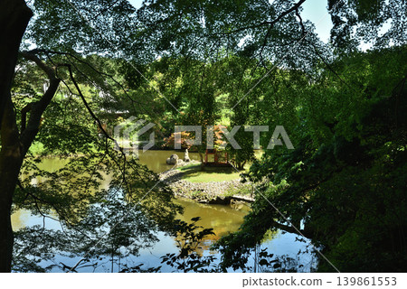 晴天的淨琉璃寺庭園(京都府木津川市) 晴天的淨琉璃寺庭園(京都府木津川市) 139861553
