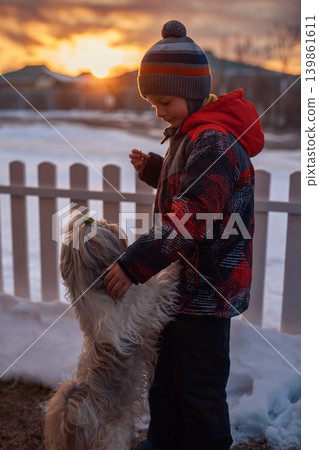 Child with shih tzu dog standing by the fence at winter sunset Child with shih tzu dog standing by the fence at winter sunset 139861611