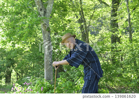 An elderly person is doing rehabilitation exercises with a cane amidst the fresh greenery. An elderly person is doing rehabilitation exercises with a cane amidst the fresh greenery. 139861620