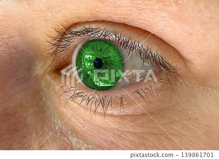 Macro closeup of human eye with green contact lens during ophthalmology vision diagnostics. Detailed iris texture for optometry eyesight testing eye care and medical examination. 139861701