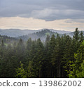 Misty spring morning mountains with forest view  (Carpathians, Ukraine.) 139862002