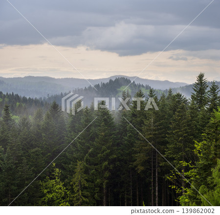 Misty spring morning mountains with forest view (Carpathians, Ukraine.) Misty spring morning mountains with forest view (Carpathians, Ukraine.) 139862002