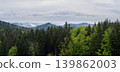Misty spring morning mountains with forest view  (Carpathians, Ukraine.) 139862003