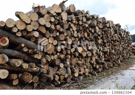 Cut out hardwood logs 139862104