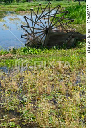 Waterwheel and flower petals 139862253