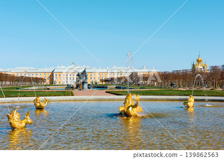 fountains of the upper garden of Peterhof Palace at clear sunny day, preparations for the opening of the fountain season, gold covered fountains of the upper garden of Peterhof Palace at clear sunny day, preparations for the opening of the fountain season, gold covered 139862563