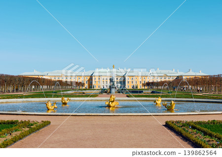 fountains of the upper garden of Peterhof Palace at clear sunny day, preparations for the opening of the fountain season, gold covered fountains of the upper garden of Peterhof Palace at clear sunny day, preparations for the opening of the fountain season, gold covered 139862564