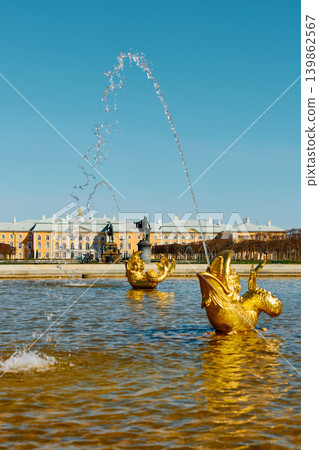 fountains of the upper garden of Peterhof Palace at clear sunny day, preparations for the opening of the fountain season, gold covered fountains of the upper garden of Peterhof Palace at clear sunny day, preparations for the opening of the fountain season, gold covered 139862567