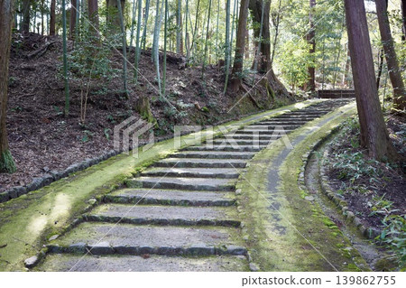 Mossy stone steps Mossy stone steps 139862755