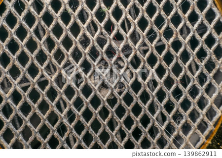 Closeup of worn speaker mesh visible dust fibers metallic pattern highlighting texture detail aged audio equipment surface Closeup of worn speaker mesh visible dust fibers metallic pattern highlighting texture detail aged audio equipment surface 139862911