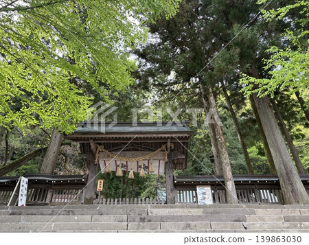 諏訪大神社本殿雄偉壯麗的禮拜殿 | 長野縣一座歷史悠久的神社 139863030