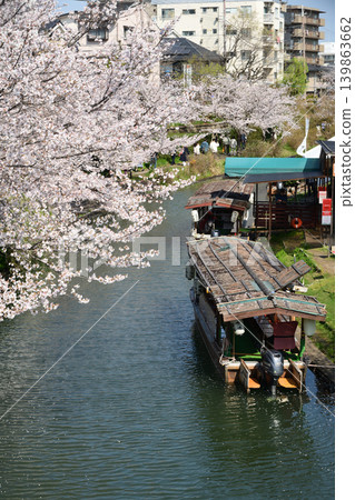 春天，堀川上的一艘直黑船 [京都府京都市伏見區] 139863662