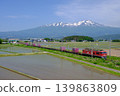 A freight train running with Mount Chokai in the background in spring. A freight train running with Mount Chokai in the background in spring. 139863809