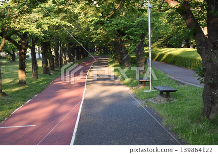 A scene of a tree-lined street and walking path in the fresh greenery of spring in the morning park. A scene of a tree-lined street and walking path in the fresh greenery of spring in the morning park. 139864122