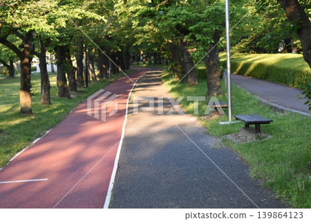 A scene of a tree-lined street and walking path in the fresh greenery of spring in the morning park. A scene of a tree-lined street and walking path in the fresh greenery of spring in the morning park. 139864123