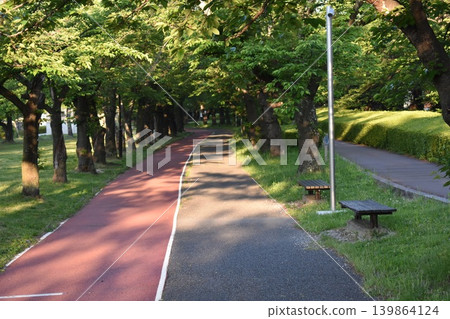 A scene of a tree-lined street and walking path in the fresh greenery of spring in the morning park. A scene of a tree-lined street and walking path in the fresh greenery of spring in the morning park. 139864124