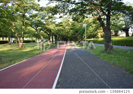 A scene of a tree-lined street and walking path in the fresh greenery of spring in the morning park. A scene of a tree-lined street and walking path in the fresh greenery of spring in the morning park. 139864125