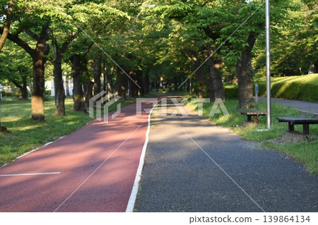 春意盎然的清晨,公園裡綠樹成蔭的街道和步道,景色宜人。 春意盎然的清晨,公園裡綠樹成蔭的街道和步道,景色宜人。 139864134