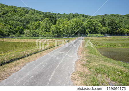 滋賀縣高島市牧野町奧琵琶湖寧靜的鄉村景色 滋賀縣高島市牧野町奧琵琶湖寧靜的鄉村景色 139864173
