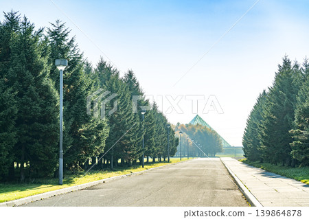 Coniferous trees lining the streets and a glass pyramid at Moerenuma Park in Sapporo. Coniferous trees lining the streets and a glass pyramid at Moerenuma Park in Sapporo. 139864878