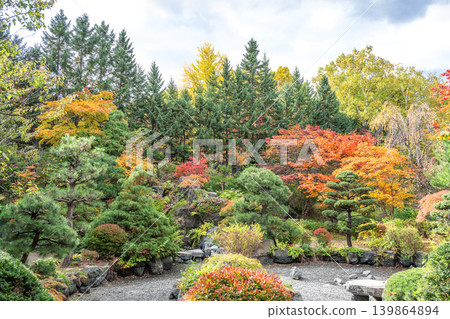 初秋時節的日式庭園,札幌市天神山綠地 初秋時節的日式庭園,札幌市天神山綠地 139864894