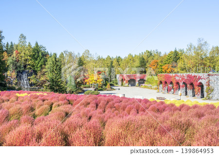 Kokia Takino Suzuran Hillside Park Sapporo City Kokia Takino Suzuran Hillside Park Sapporo City 139864953