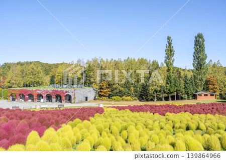 Kokia Takino Suzuran Hillside Park Sapporo City Kokia Takino Suzuran Hillside Park Sapporo City 139864966