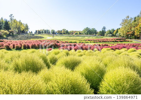 Kokia Takino Suzuran Hillside Park Sapporo City Kokia Takino Suzuran Hillside Park Sapporo City 139864971