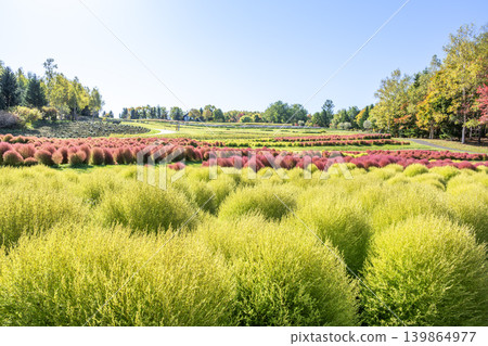 Kokia Takino Suzuran Hillside Park Sapporo City 139864977