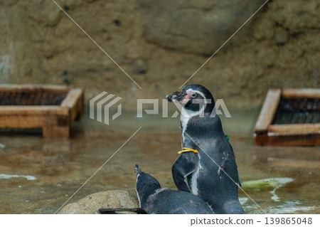 Summer Aquarium Summer Aquarium 139865048