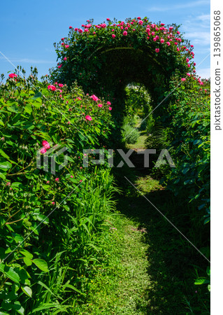 The Road of Roses The Road of Roses 139865068