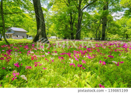 與 kurinsou 的風景 與 kurinsou 的風景 139865199