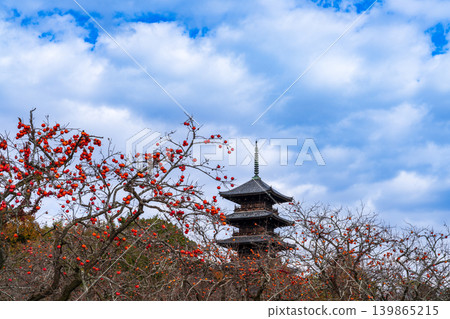 備中國分寺的深秋：柿子與五重塔（15）－岡山縣總社市 139865215